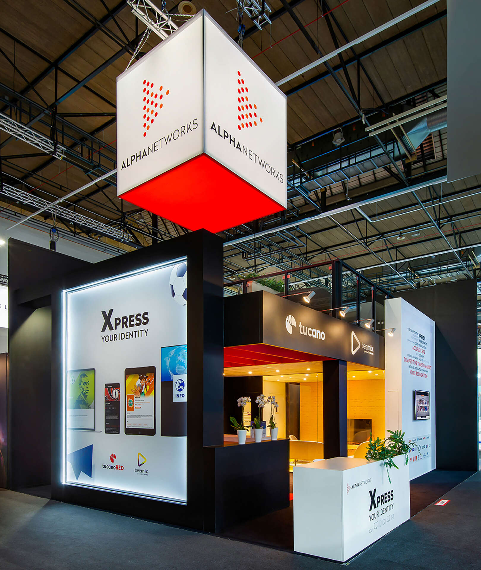 IBC Alpha networks 2020